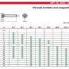 VITI TESTA BOMBATA CON ESAGONO INCASSATO IN ACCIAIO INOX (dal 8x10 al 12x60) - immagine 2
