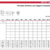 VITI TESTA CILINDRICA CON ESAGONO INCASSATO IN ACCIAIO INOX (dal 8x10 al 10x100) - immagine 5